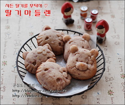 마들렌 이미지