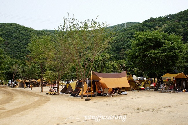 한씨네 이미지