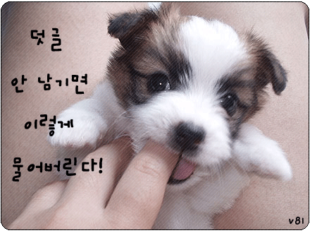 음 이미지