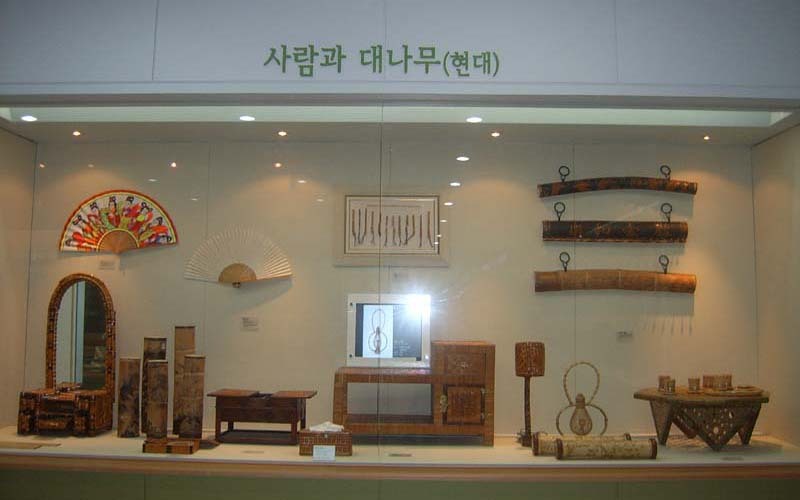 한국대나무 이미지