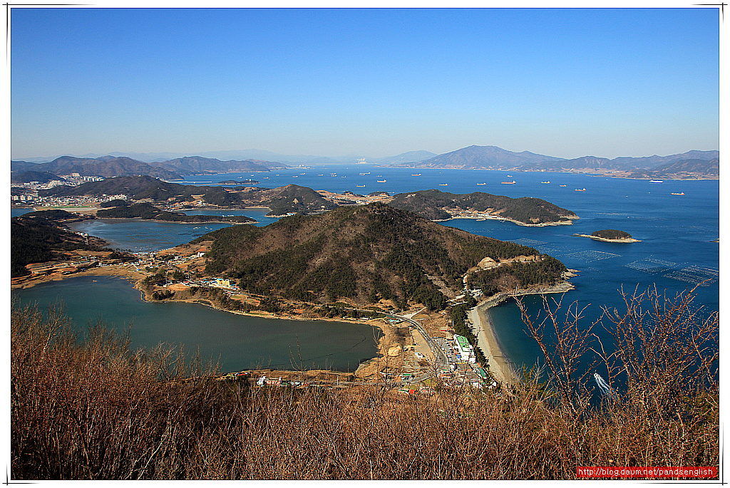 돌산커피 이미지