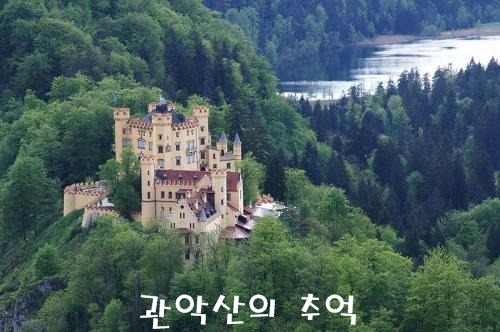 빈숲 이미지