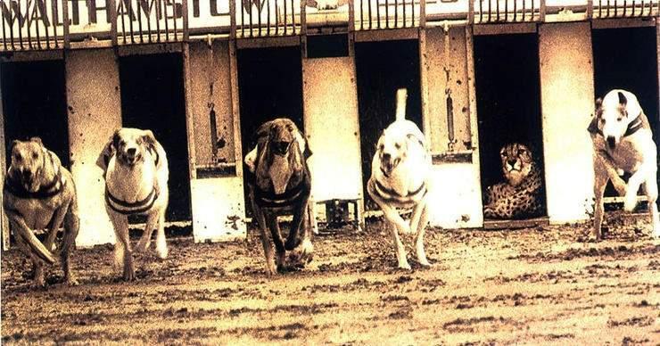 3초 이미지