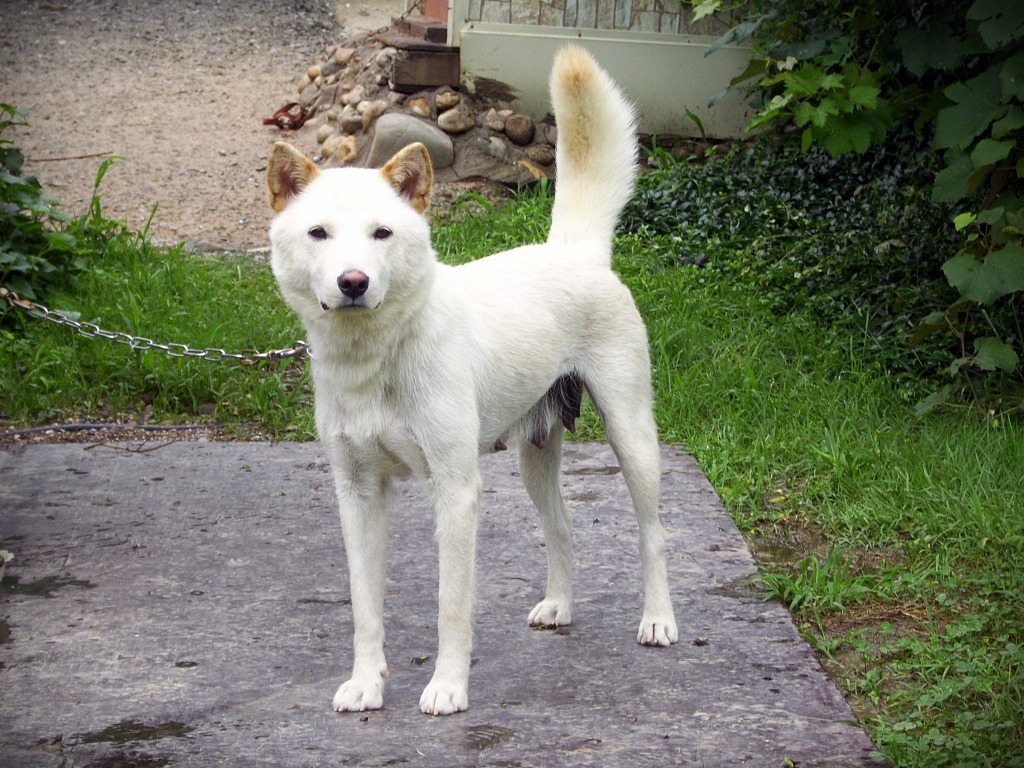 몽실이 이미지