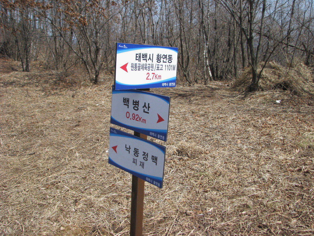 태백고원자연휴양림 이미지