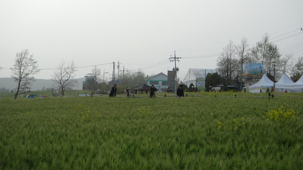 (주)봄날 이미지