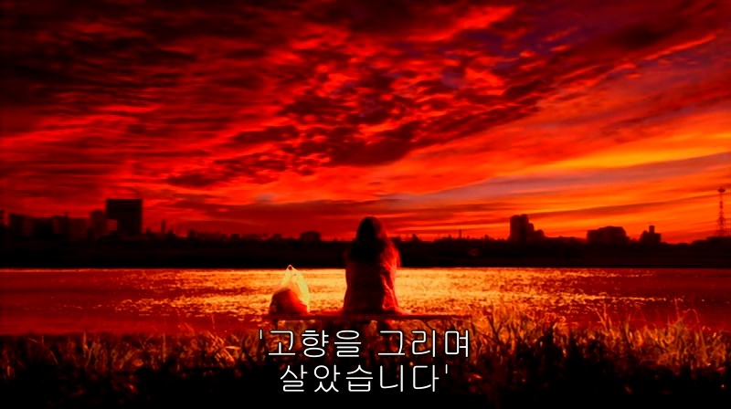 [영화] 혐오스런 마츠코의 일생 -29- | 인스티즈