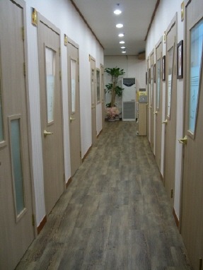 원실용음악학원 이미지