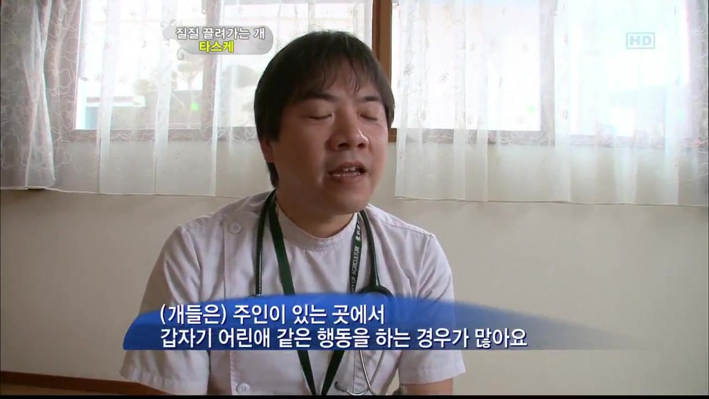 [동물농장] 목줄로 질질 끌려다니는 개.JPG | 인스티즈