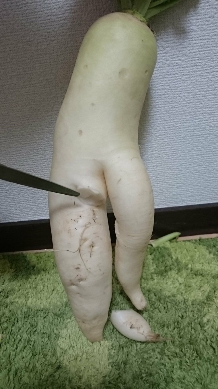 이거 진짜 너무하는거 아닌가요? | 인스티즈