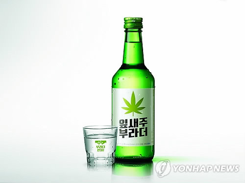 자신이 좋아하는 소주 종류는? | 인스티즈