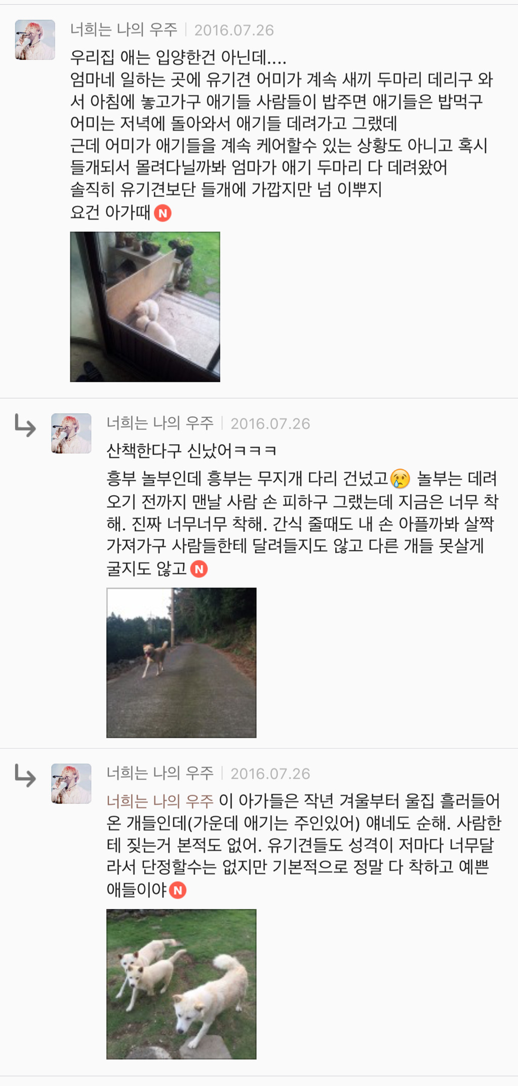 유기견 입양은 좀 꺼려져; 문제가 있어서 버려진 애들 아냐? | 인스티즈