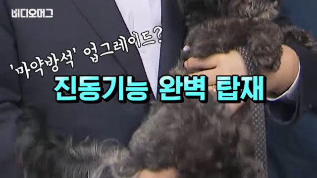 토리가 새마약방석이 맘에 들었나보다(영상） | 인스티즈