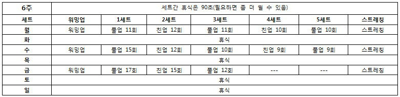 턱걸이 초보도 50개 올리는 프로그램 | 인스티즈