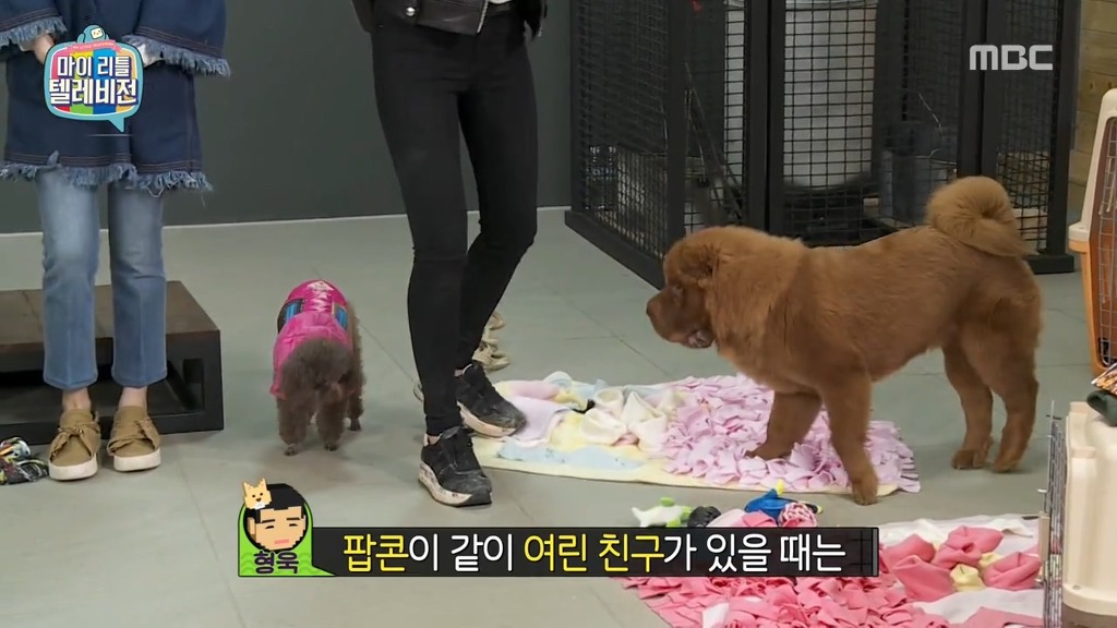 [마리텔] 나는 친해지고 싶었을뿐인데.jpg | 인스티즈