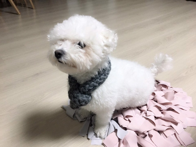 말랑 이미지
