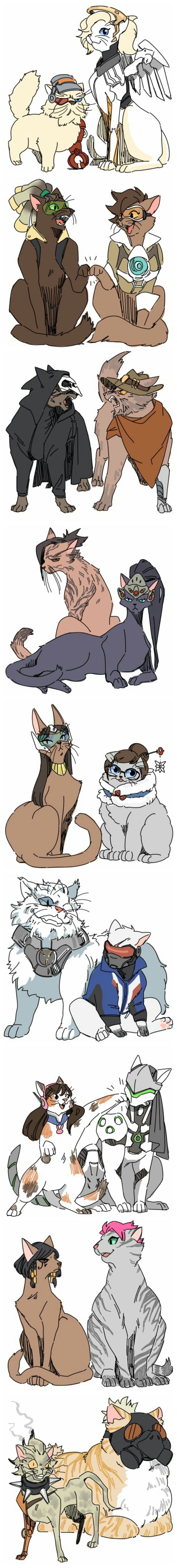 [오버워치] 고양이 버전 오버워치 요원들.jpg | 인스티즈