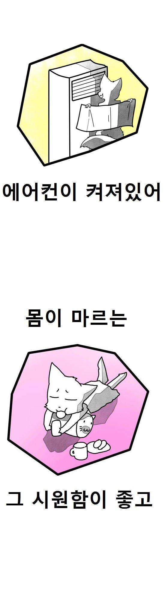 비행기는 날고있을때 보다 공항에서 더욱 떨린다....jpg | 인스티즈