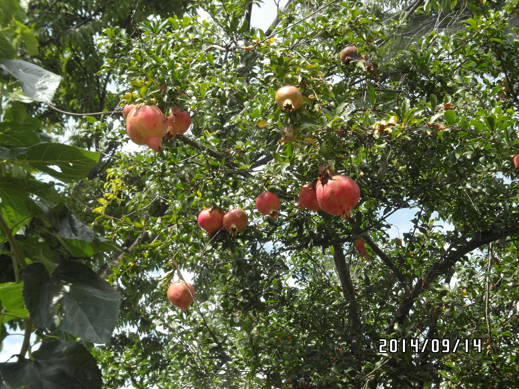 일육상회 이미지