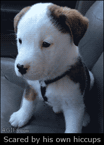 너무귀여운 딸국질 | 인스티즈