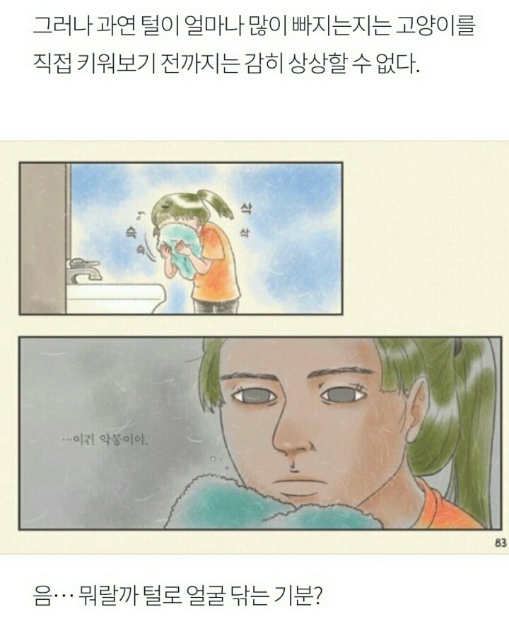 상상 속의 고양이 vs 실제 고양이 | 인스티즈
