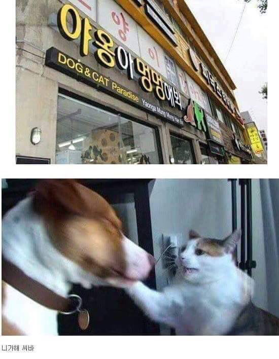 이래도싫다 저래도싫다 | 인스티즈