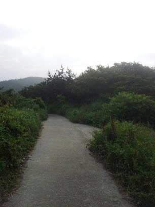 파도의숲 이미지