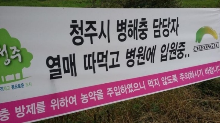 패기있는 청주공무원 | 인스티즈