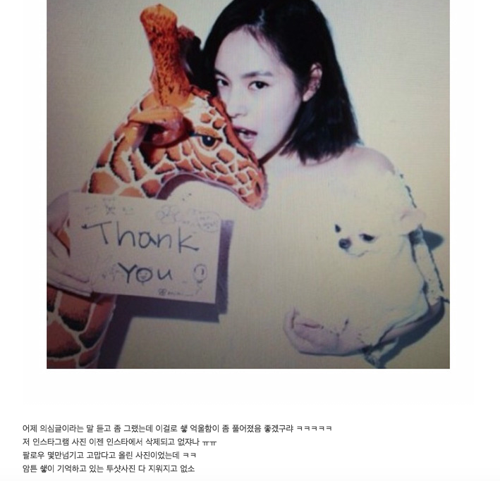 악플 엄청 받고 있는 민효린 반려 동물 사건 정리 글.......jpg | 인스티즈
