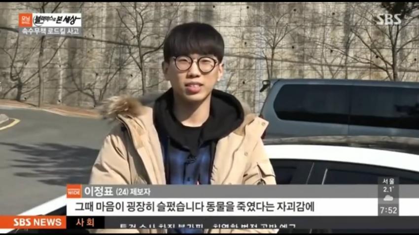 강아지 로드킬 . jpg | 인스티즈