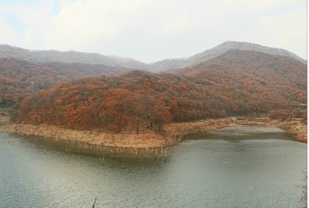 팔마장 이미지
