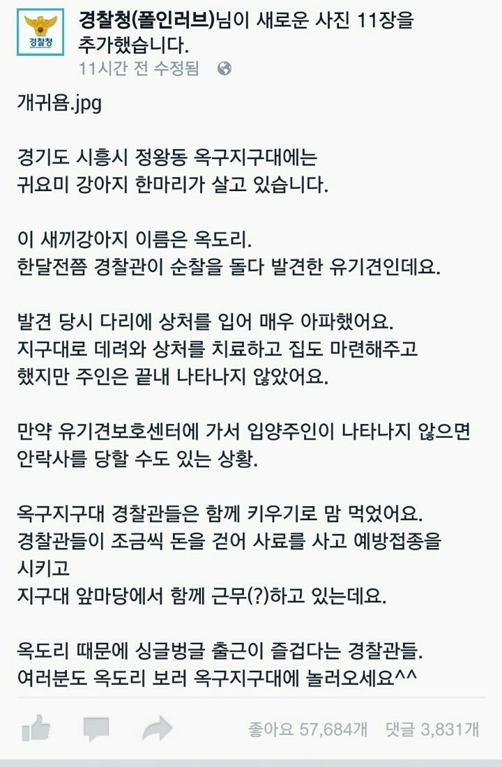 경찰서를 지키는 강아지.jpg | 인스티즈