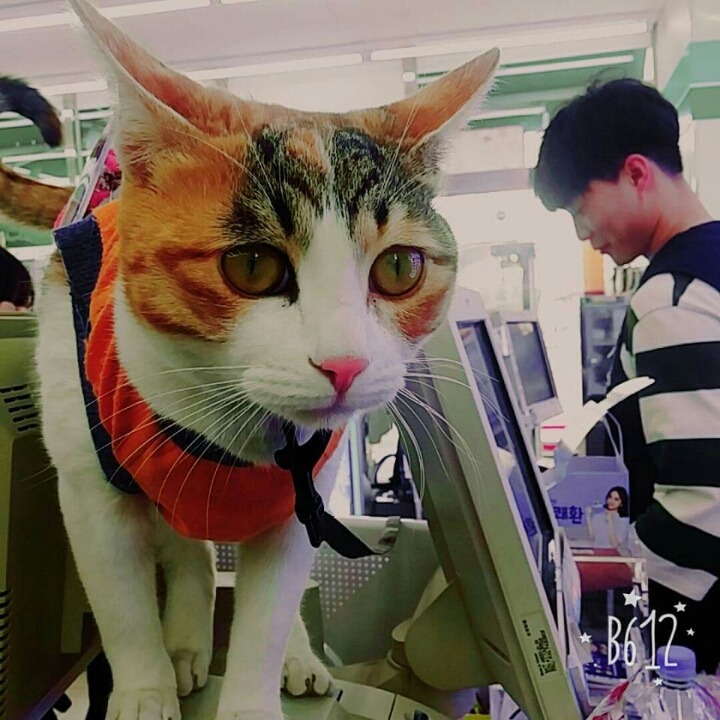 어린 나이에 편의점 점장도 되고....부럽네요 | 인스티즈