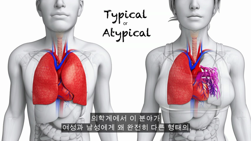 [TED] 왜 약은 종종 여성에게 위험한 부작용이 있는가 | 인스티즈