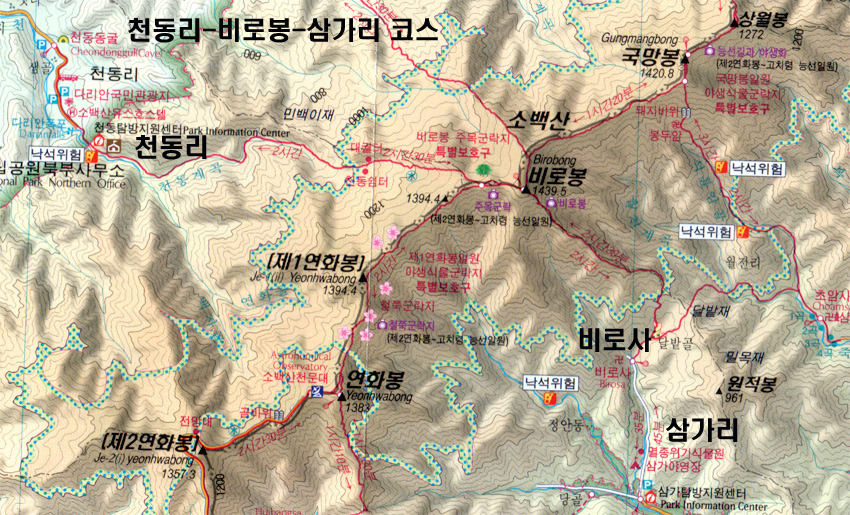 에델바이스화원 이미지