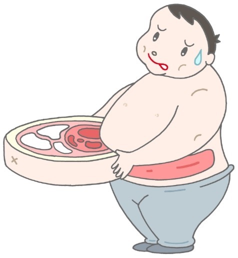 침묵의 암살자 뱃속의 시한폭탄 내장지방의 위험성 | 인스티즈