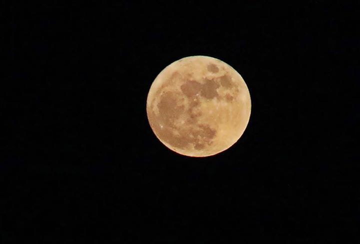 moon 이미지