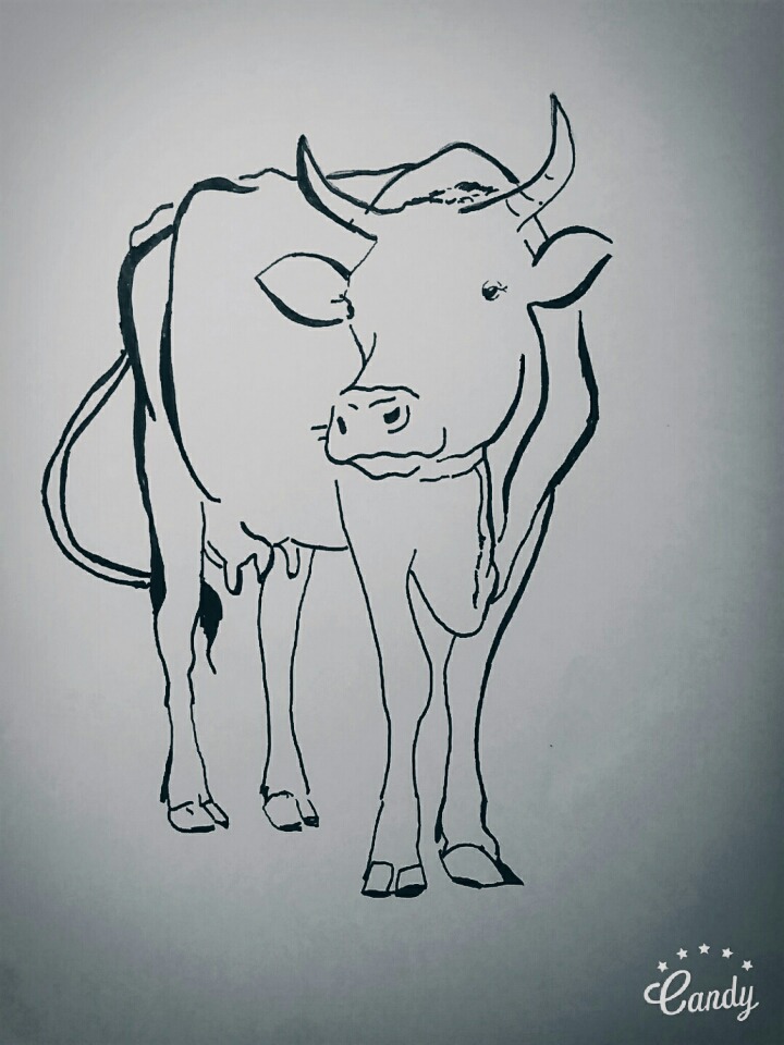 1일 1그림 | 인스티즈