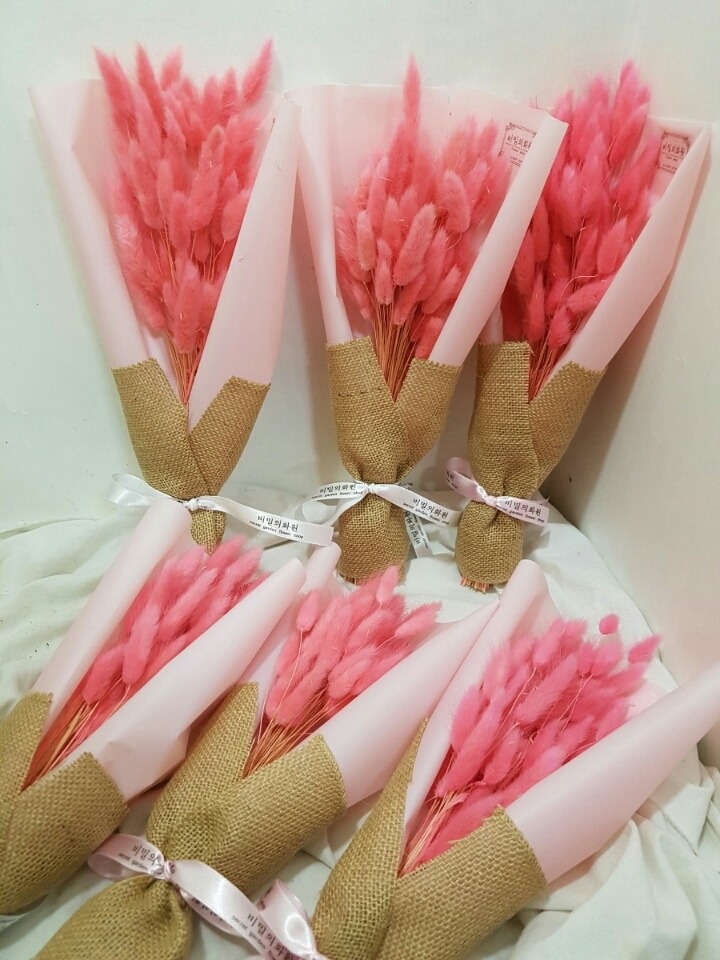 라그라스 이미지