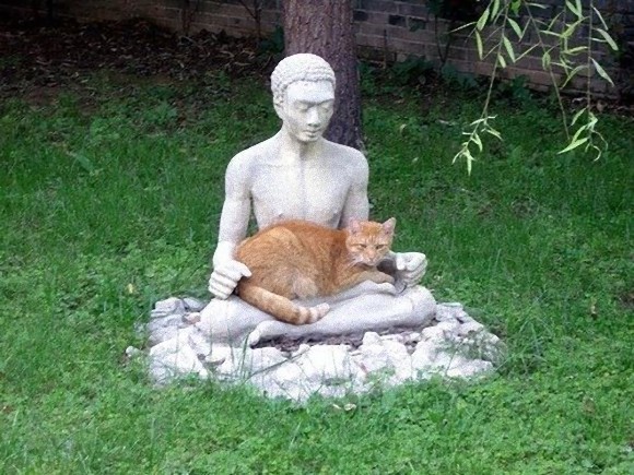 불상과 고양이.jpg | 인스티즈
