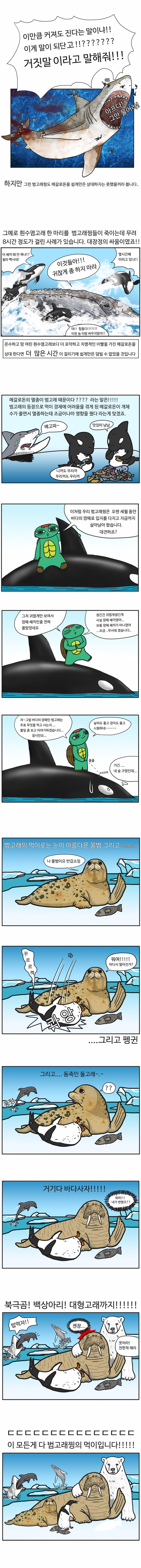 범고래 만화 (1).jpg | 인스티즈