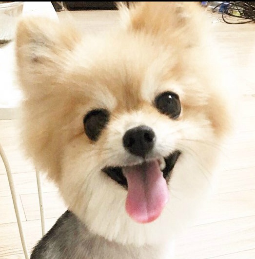 구리시/남양주시 사랑하는 동생을 잃어버렸습니다 한번만 눌러주세요 제발요.. | 인스티즈