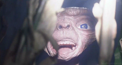 스티븐 스필버그의 명작 감동을 주고간 E.T | 인스티즈