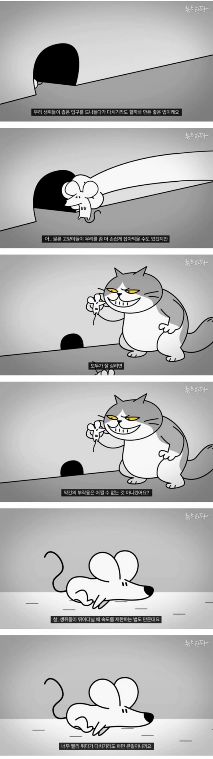 생쥐와 고양이.jpg | 인스티즈