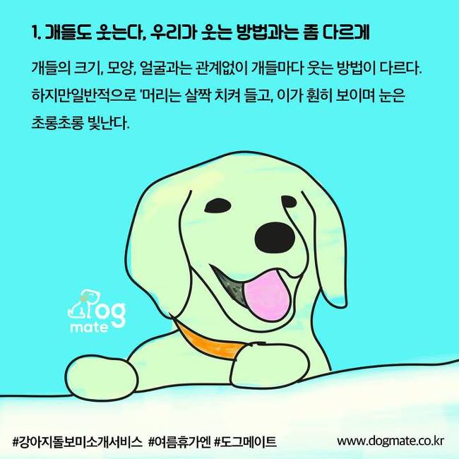 강아지가 이렇게하면 웃고있는 거라는데... | 인스티즈