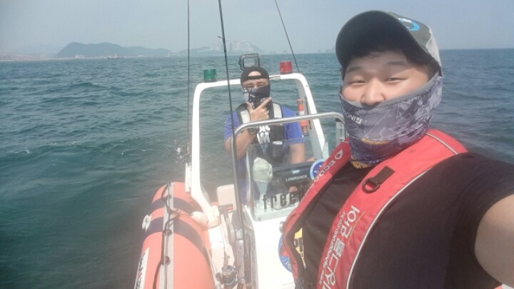 부산오징어 이미지