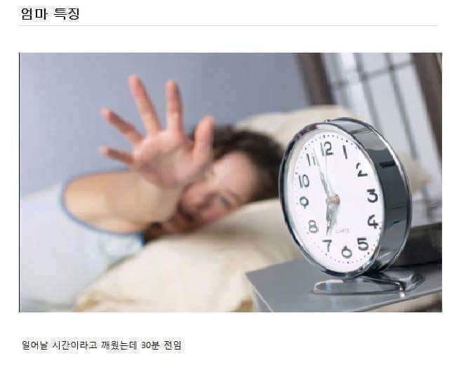 엄마들의 특징 | 인스티즈