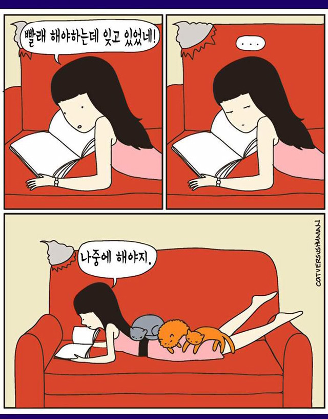 고양이 짤 | 인스티즈
