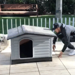 인스타그램 가장 많은 팔로워를 보유한 운동선수.jpg | 인스티즈
