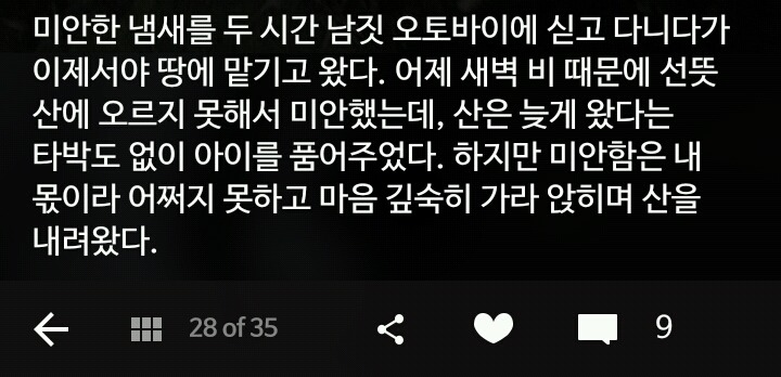 비가오나 눈이오나 길냥이 사진을 찍는 작가 | 인스티즈